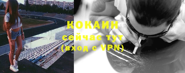 индика Бородино