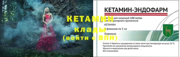 индика Бородино