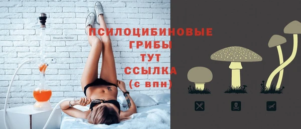 стафф Бронницы