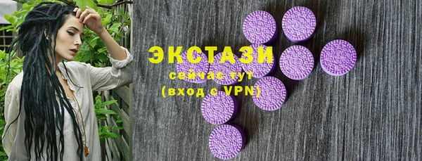 индика Бородино