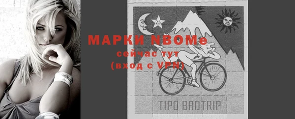 стафф Бронницы