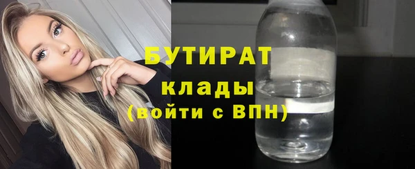 индика Бородино