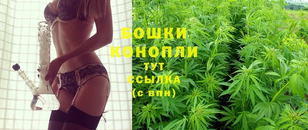 индика Бородино