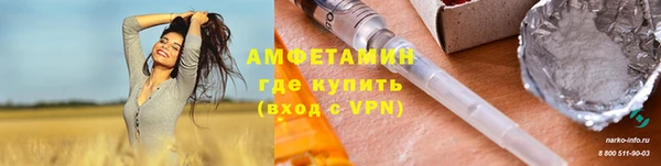 индика Бородино