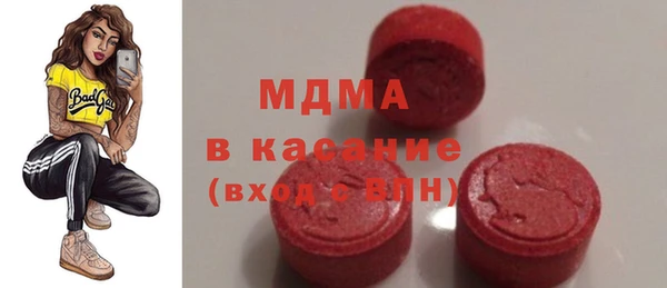 индика Бородино
