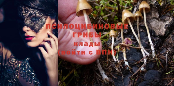 стафф Бронницы