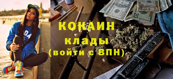 индика Бородино