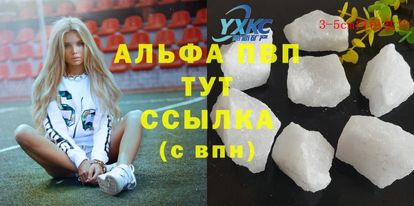 индика Бородино