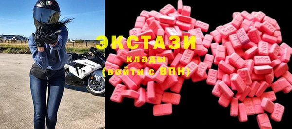 индика Бородино