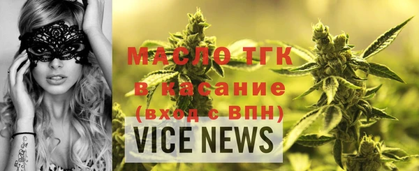 индика Бородино