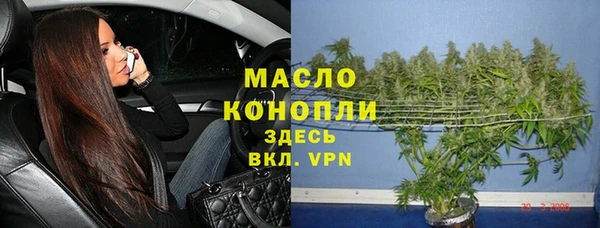 индика Бородино