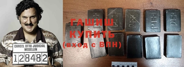 индика Бородино