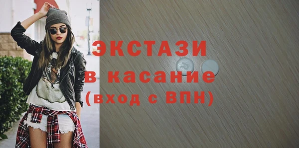 индика Бородино