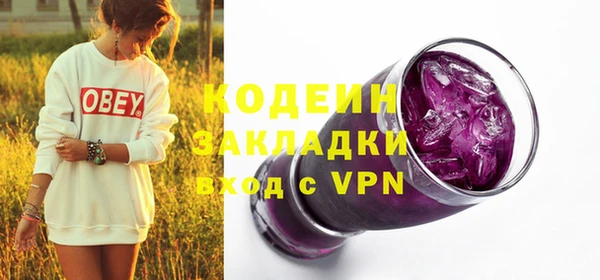 индика Бородино